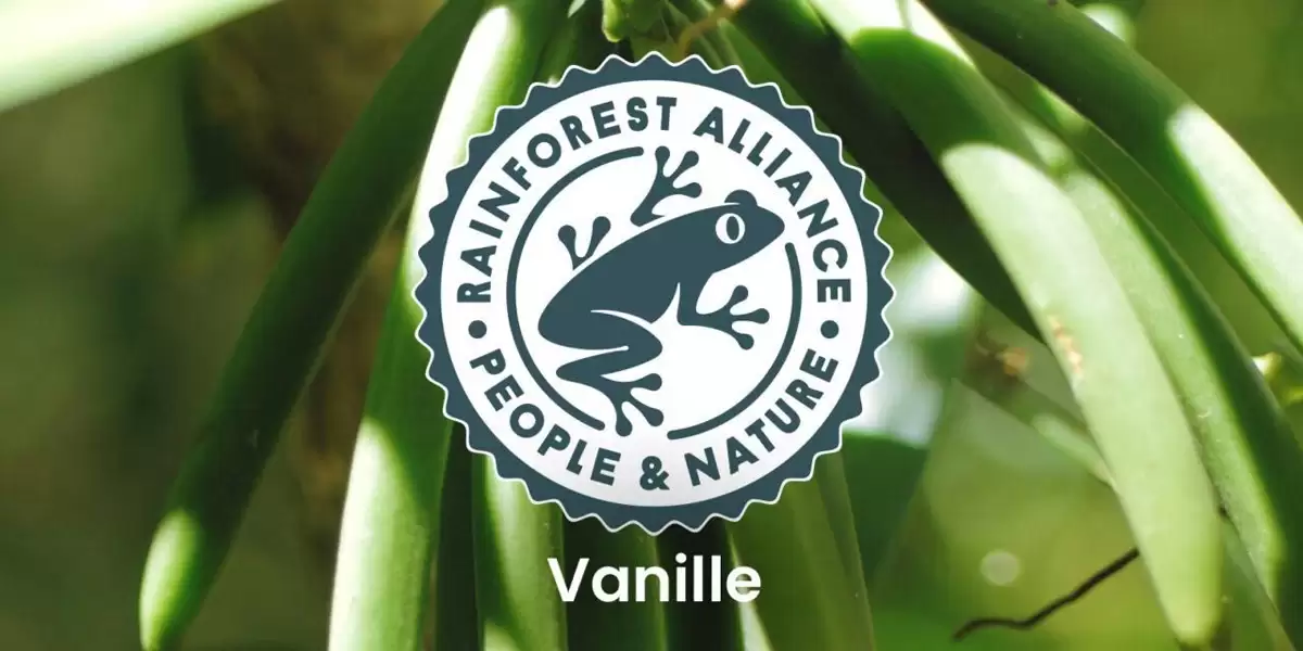 Vanilie de Bourbon de calitate, certificată Rainforest Alliance