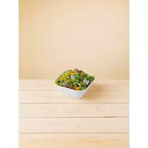 Condiment pentru salata bio Lebensbaum