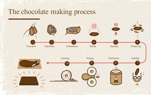 productie ciocolata bio